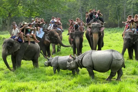 Kathmandu Chitwan Budget Tour Package