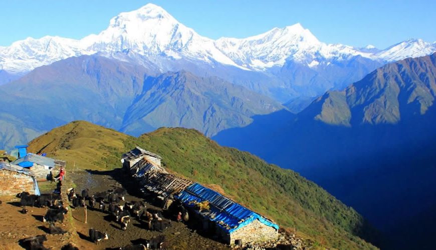 dhaulagiri mountain